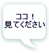 ココ！ 見てください 